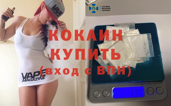 гашик Костерёво