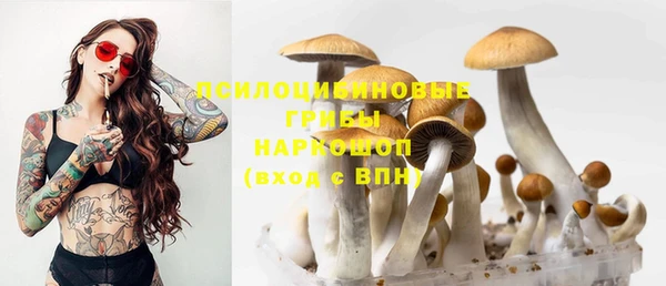 гидропоника Краснотурьинск