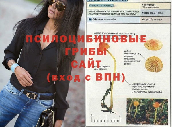 индика Куйбышев
