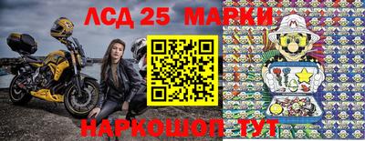 шишки Гай