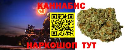 шишки Гай