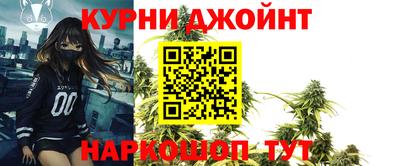 шишки Гай
