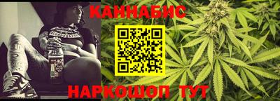 шишки Гай