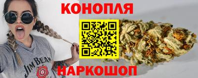 шишки Гай