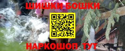 шишки Гай