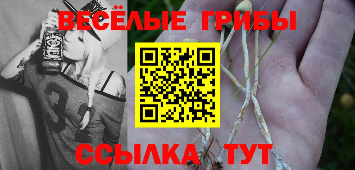 Псилоцибиновые грибы прущие грибы Котовск