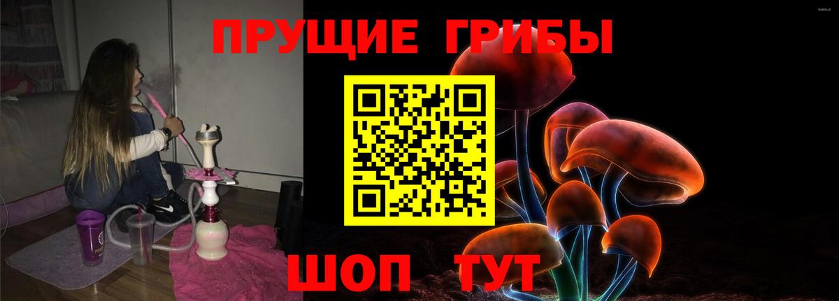 Галлюциногенные грибы GOLDEN TEACHER Котовск